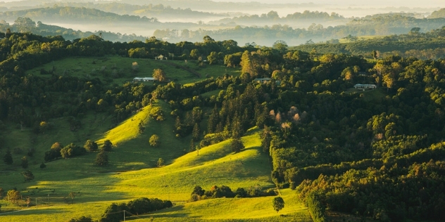 green fields of the Byron Bay hinterland