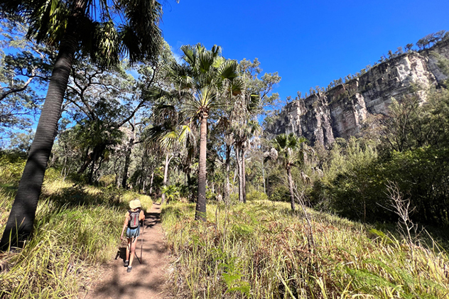 Carnarvon Gorge Camping Area, Carnarvon Gorge National Park, Carnarvon Park