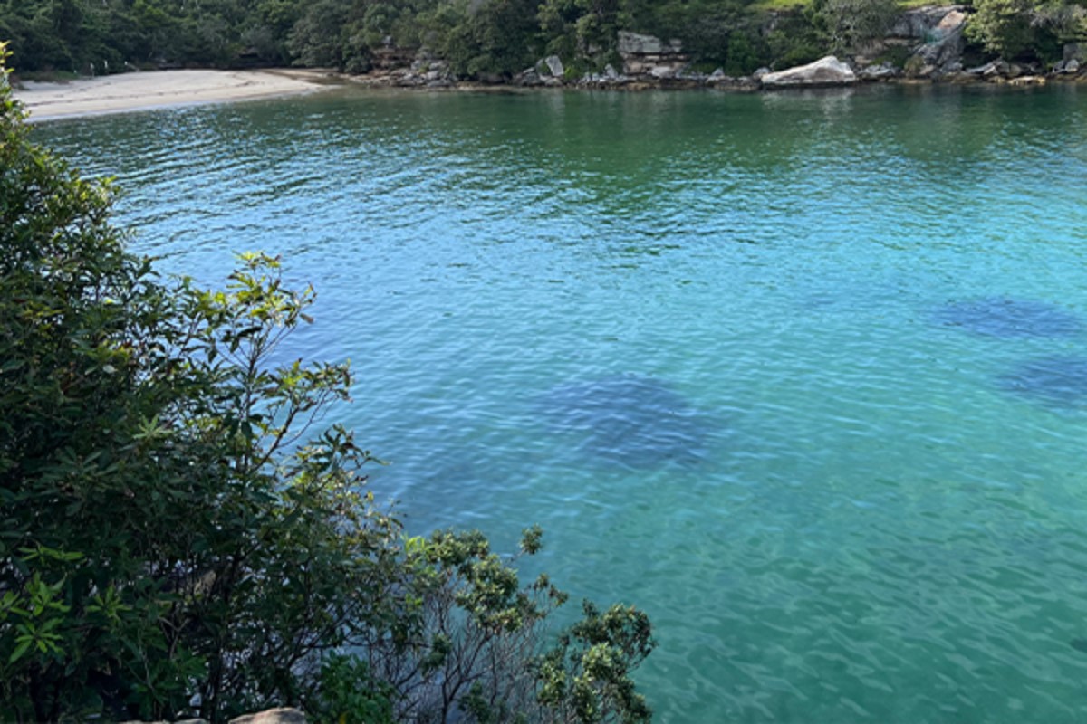collins-beach-manly-nsw-1200x800 Slide 1