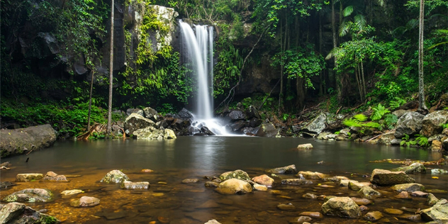  A ten to twenty metre waterfall into a pool with rocky shores, surrounded by dense, green foliage.  