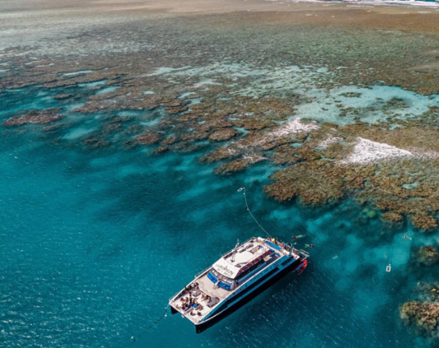 dreamtime-dive-boat-cairns-qld-900x715 Slide 5