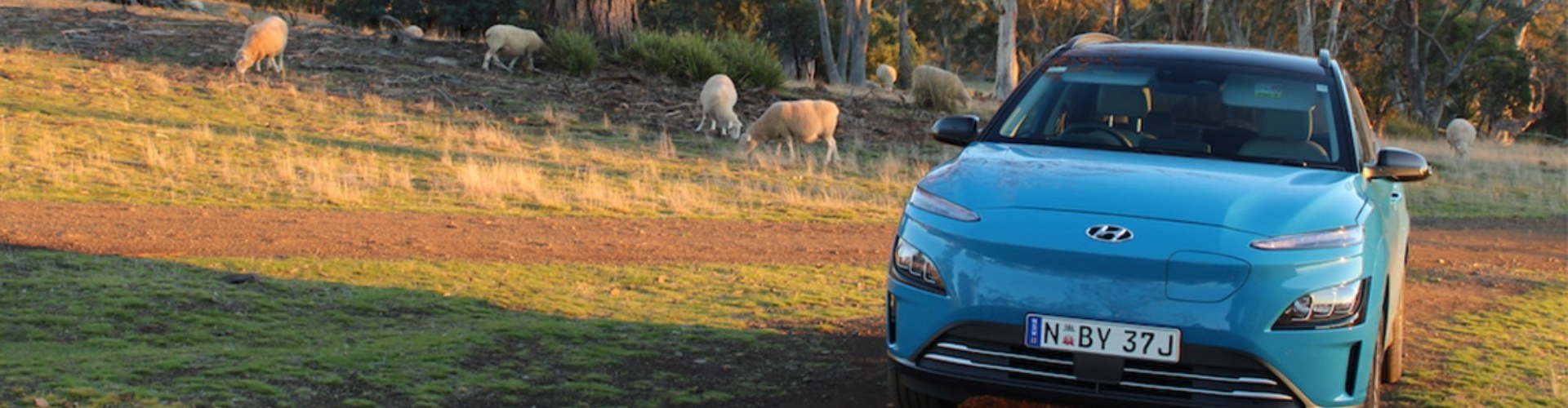 EV Sydney to Tasmania Curringa Farm mid blue Hyundai Kona electric vehicle with a paddock and sheep in the background