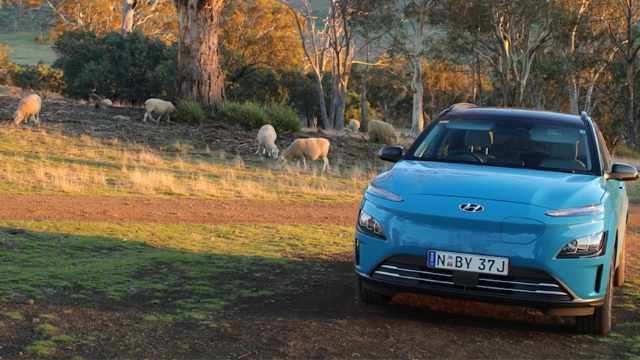 mid blue Hyundai Kona electric vehicle with a paddock and sheep in the background