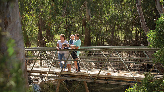 family-at-island-sanctuary-nsw-640x360 A couple, with a baby and two kids, standing on a walking bridge in a sunlit forest.