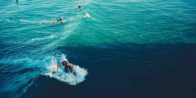  Turquoise water dotted with surfers, most paddling on their stomachs, with one standing to surf a small wave.