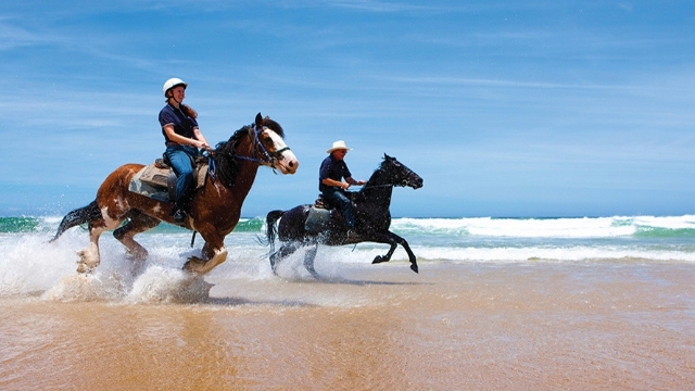 a man and woman canter horses on the beach at the waters edge