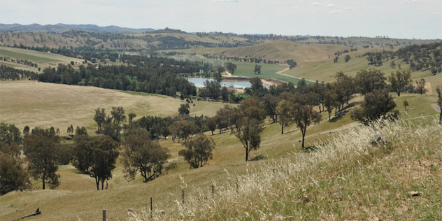  View from a roadside down into a river valley dotted with trees and mountains on the horizon in the distance.