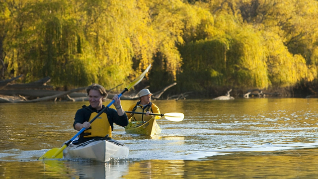 men-kayaking-murray-river-vic-640x360 Two men kayaking along a sunny, mangrove and tree-lined riverbank.