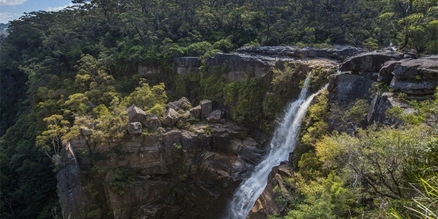 Minnamurra rainforest waterfall NSW