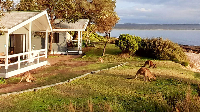 Murramarang beachfront villa