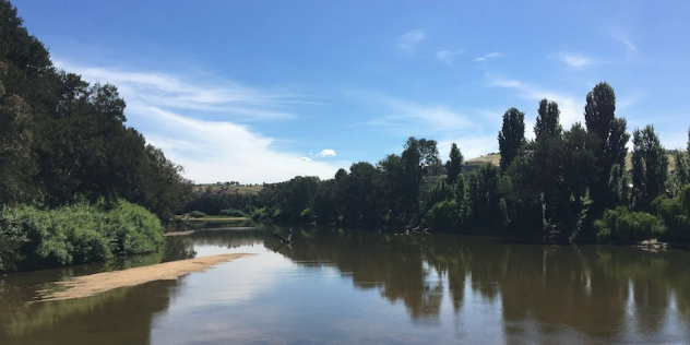  A peaceful brown river weaving between treed shores, framed by blue sky.