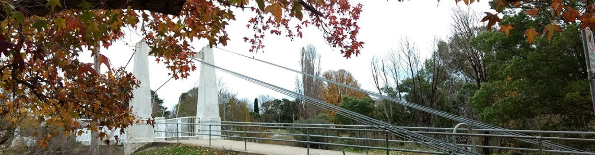 queanbeyan-suspension-bridgensw-1920x500 A suspension bridge with white pillars on either side, surrounded by trees, turning colour for autumn.