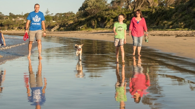 happy family and dog walking on beach