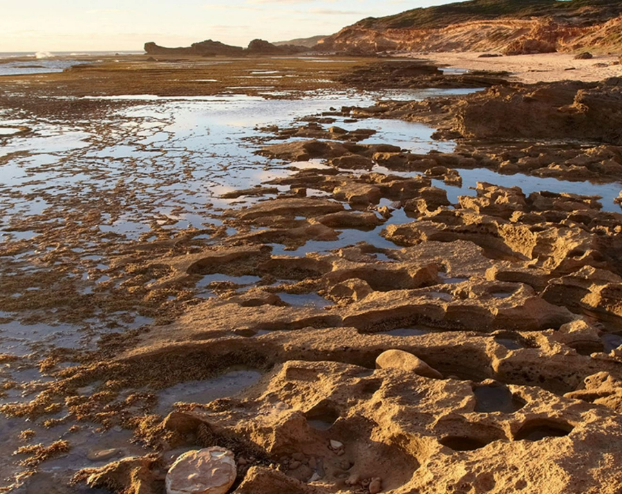 sorrento-back-beach-vic-900x715 Slide 4