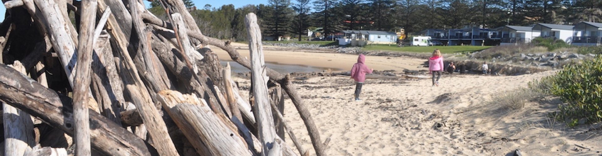 Tuross Head NSW beach with driftwood pile large pile of driftwood stacked for a beach bonfire with two children running along the beach in the background