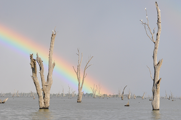 Lake Mulwala