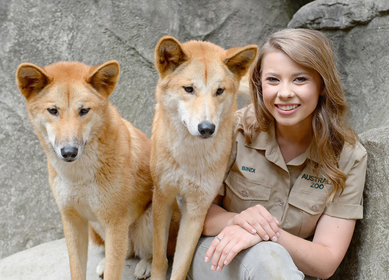 AustraliaZooHeadless_web