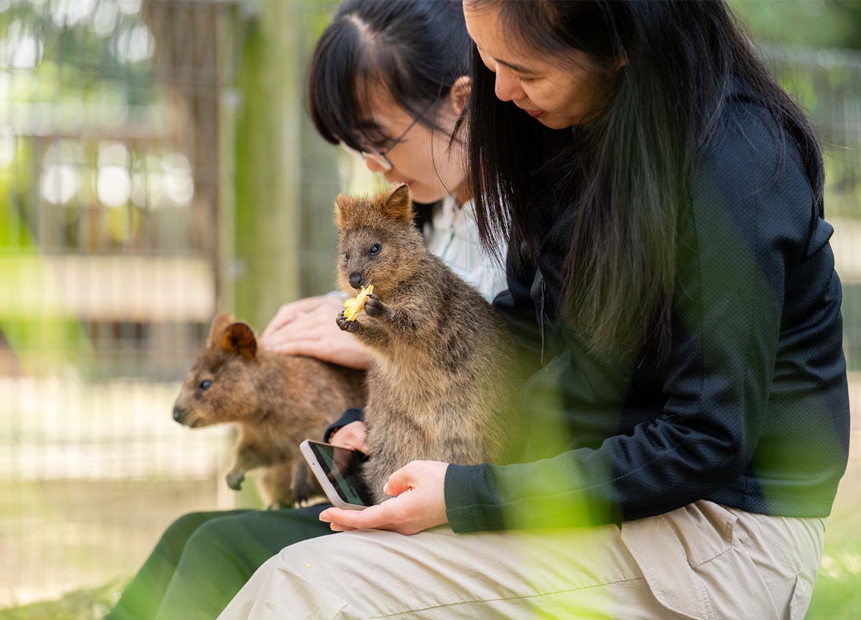 Two young girls holding Quokkas on their laps