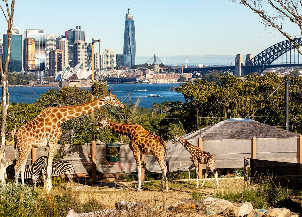 Taronga Zoo