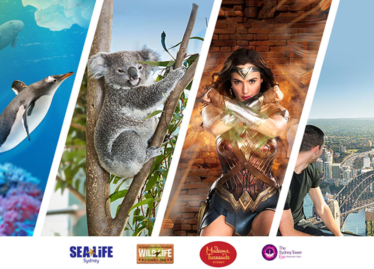 AttractionsHeadless_web