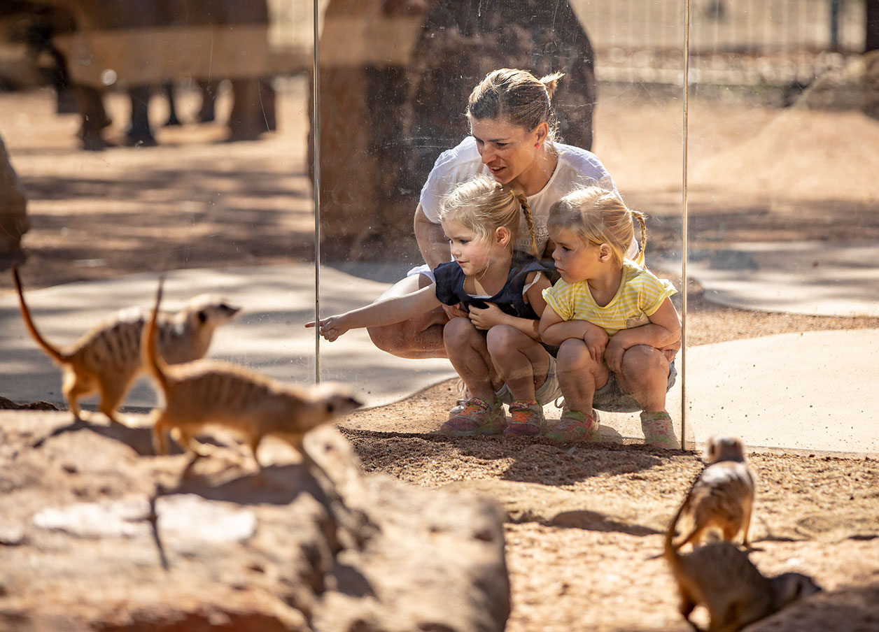 Taronga Western Plains Zoo Dubbo