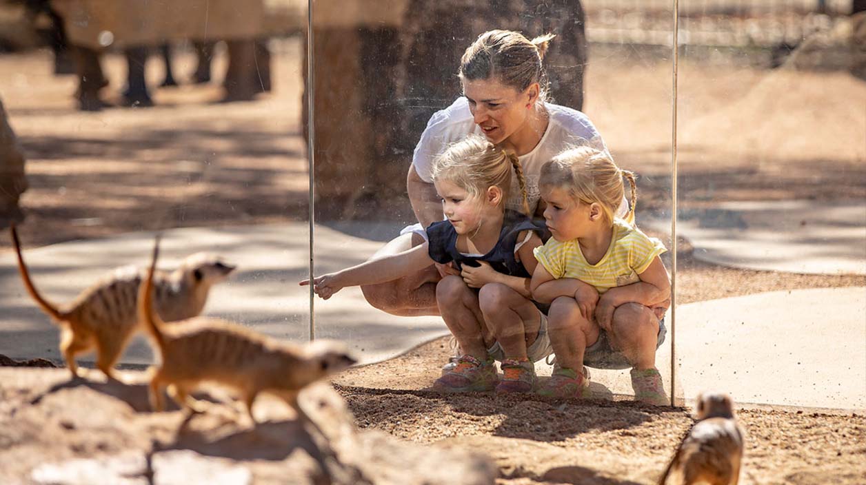 Taronga Western Plains Zoo Dubbo