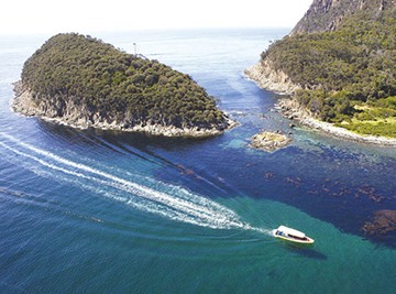 Bruny Island cruise