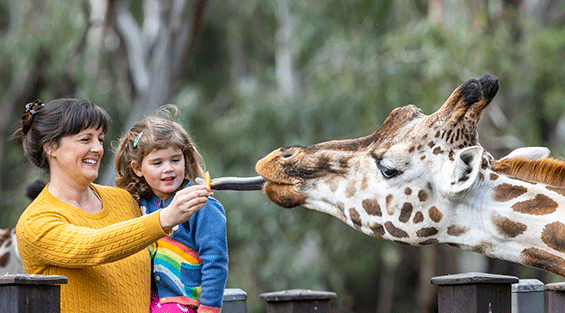 Taronga Western Plains Zoo Dubbo