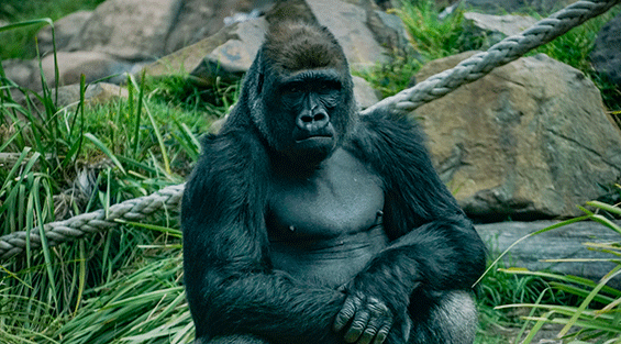 Hunter Valley Wildlife Park