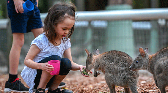 Featherdale Wildlife Park