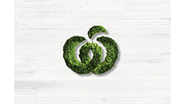 Woolworths